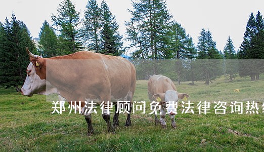 郑州法律顾问免费法律咨询热线 郑州法律顾问免费法律咨询热线