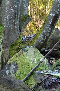 郑州法律顾问包年多少钱 郑州法律顾问包年多少钱