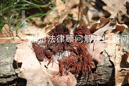 郑州法律顾问解决逾期问题 郑州法律顾问解决逾期问题