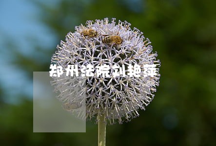 郑州法院刘艳萍 郑州法院刘艳萍