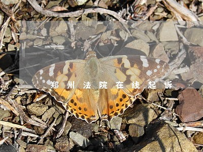 郑州法院在线起诉