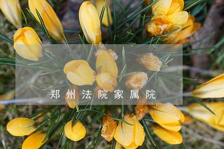 郑州法院家属院 郑州法院家属院