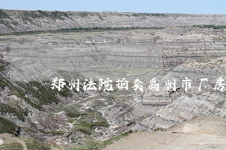 郑州法院拍卖禹州市厂房名字 郑州法院拍卖禹州市厂房名字