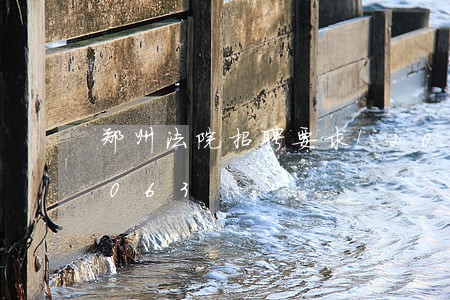 郑州法院招聘要求/2023031492063 郑州法院招聘要求/2023031492063