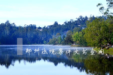 郑州法院案件文书查询