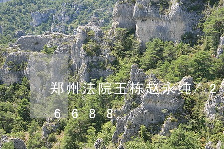 郑州法院王栋赵永纯/2023031576688 郑州法院王栋赵永纯/2023031576688