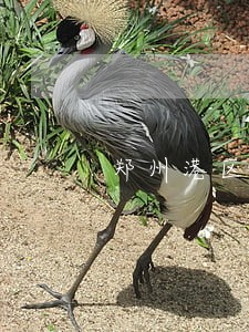 郑州港区婚姻律师团队 郑州港区婚姻律师团队
