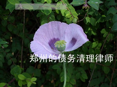 郑州的债务清理律师 郑州的债务清理律师