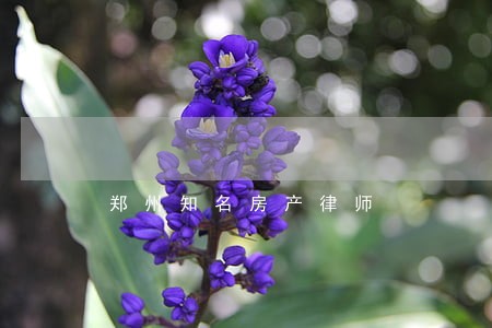 郑州知名房产律师