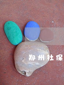 郑州社保年检逾期6 郑州社保年检逾期6