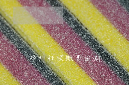 郑州社保缴费逾期 郑州社保缴费逾期