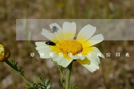 郑州离婚律师咨询价目表 郑州离婚律师咨询价目表