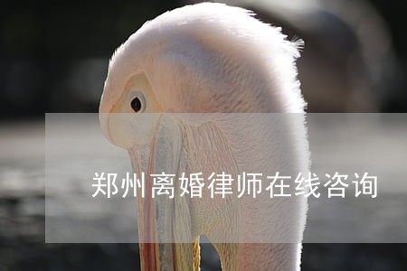 郑州离婚律师在线咨询 郑州离婚律师在线咨询