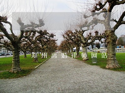 郑州离婚律师网站 郑州离婚律师网站