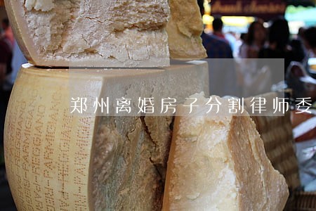 郑州离婚房子分割律师委托哪个 郑州离婚房子分割律师委托哪个