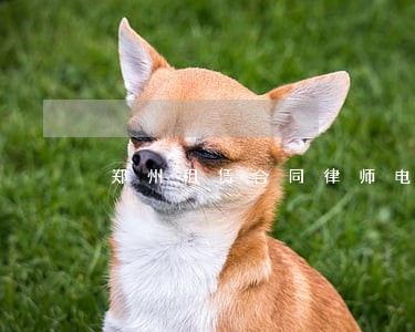 郑州租赁合同律师电话 郑州租赁合同律师电话