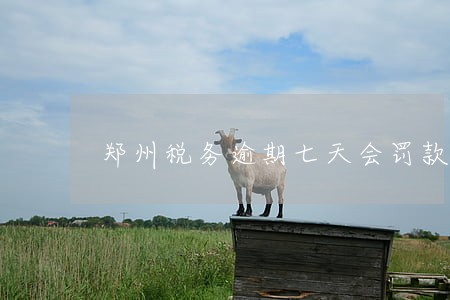 郑州税务逾期七天会罚款吗 郑州税务逾期七天会罚款吗