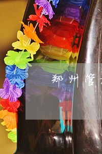 郑州管城法院案件执行查询 郑州管城法院案件执行查询