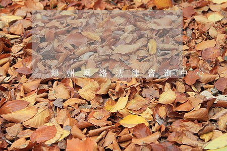 郑州网络法律咨询中心 郑州网络法律咨询中心