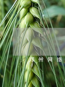 郑州网络法律咨询平台 郑州网络法律咨询平台