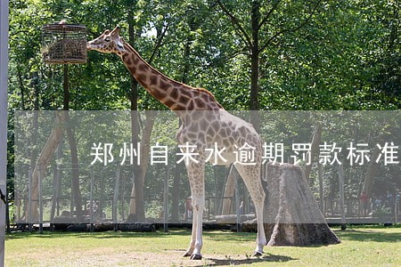 郑州自来水逾期罚款标准