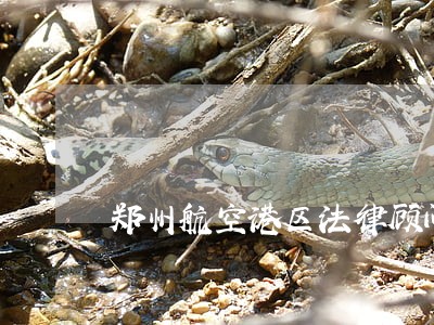 郑州航空港区法律顾问 郑州航空港区法律顾问