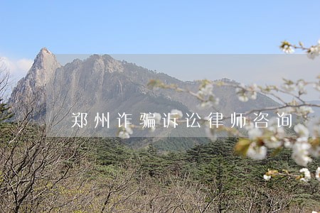 郑州诈骗诉讼律师咨询