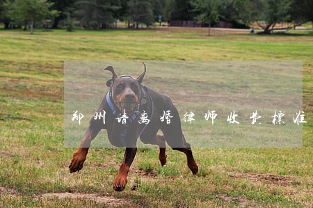 郑州请离婚律师收费标准 郑州请离婚律师收费标准