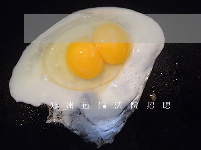 郑州运输法院招聘 郑州运输法院招聘