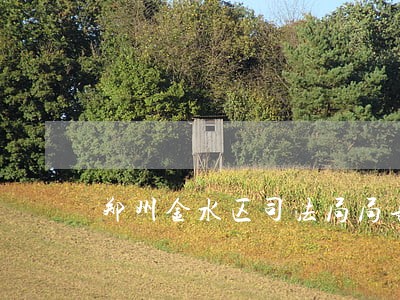 郑州金水区司法局局长 郑州金水区司法局局长