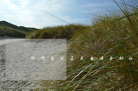 郑州金水区夫妻债务纠纷律师在线 郑州金水区夫妻债务纠纷律师在线