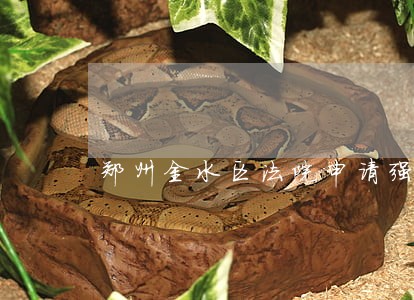 郑州金水区法院申请强制执行 郑州金水区法院申请强制执行