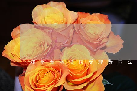 郑州金水法院受理费怎么交