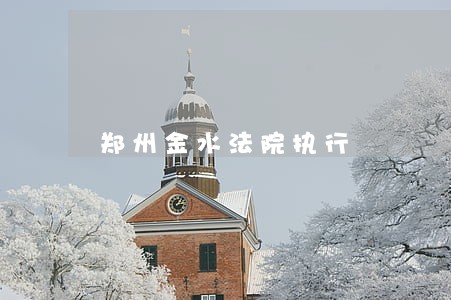 郑州金水法院执行 郑州金水法院执行