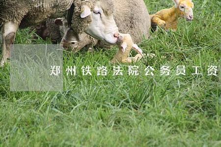 郑州铁路法院公务员工资