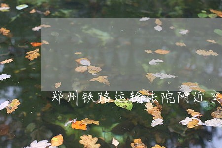 郑州铁路运输法院附近宾馆 郑州铁路运输法院附近宾馆