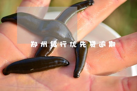 郑州银行优先贷逾期 郑州银行优先贷逾期