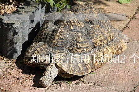 郑州银行信用卡逾期2个月 郑州银行信用卡逾期2个月