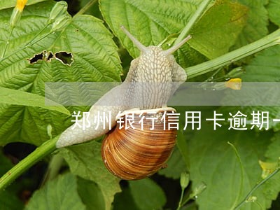 郑州银行信用卡逾期一天怎么办