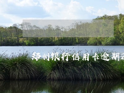 郑州银行信用卡逾期还款 郑州银行信用卡逾期还款