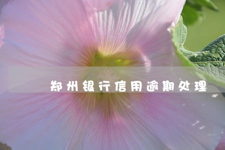 郑州银行信用逾期处理 郑州银行信用逾期处理