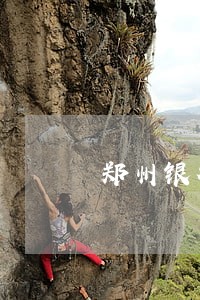 郑州银行当天还贷算逾期吗 郑州银行当天还贷算逾期吗