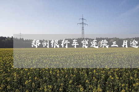 郑州银行车贷连续三月逾期两天 郑州银行车贷连续三月逾期两天