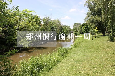 郑州银行逾期一周 郑州银行逾期一周