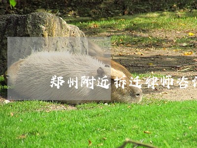 郑州附近拆迁律师咨询 郑州附近拆迁律师咨询