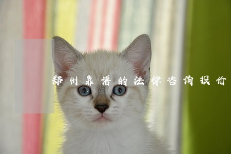 郑州靠谱的法律咨询报价 郑州靠谱的法律咨询报价