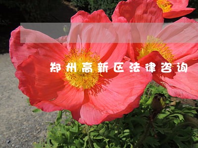 郑州高新区法律咨询 郑州高新区法律咨询