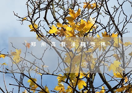 郑州高新法院范伟