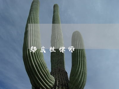 郑庆柱律师 郑庆柱律师