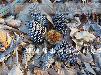 郑律师事务所咨询免费